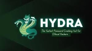 Hydra Online Activation (Without Dongle) 3 Months